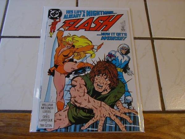 FLASH VOL2 #28