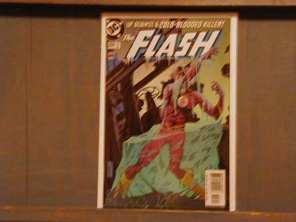 FLASH VOL2 #204