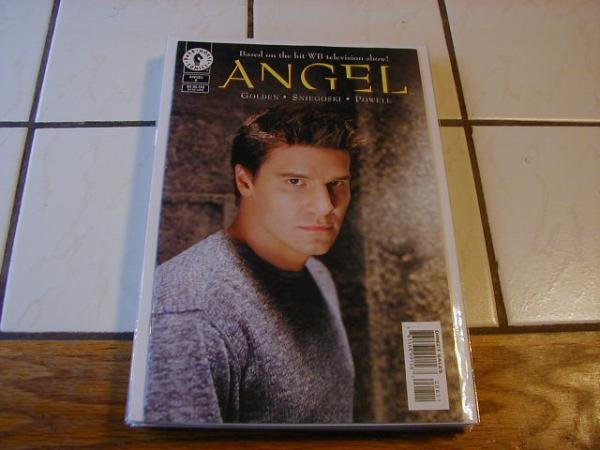 ANGEL #8 PHOTO COVER