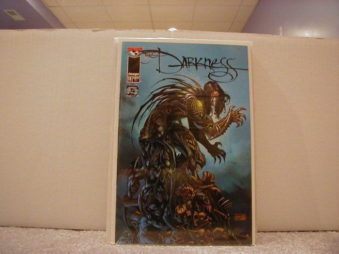 DARKNESS #11 PETERSON VARIANT