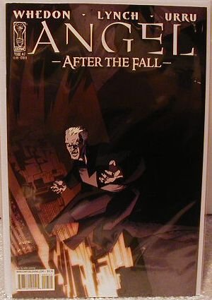 ANGEL AFTER THE FALL #7 COVER B NM (2008)