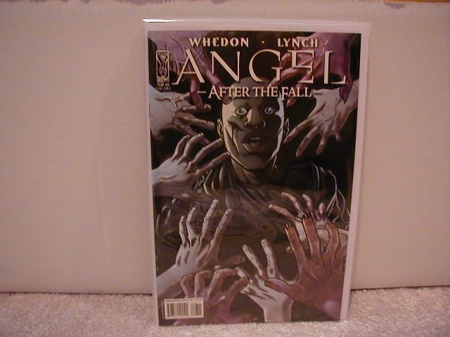 ANGEL AFTER THE FALL #8 âAâ COVER NM (2008)