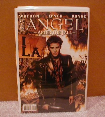 ANGEL AFTER THE FALL #9 âAâ NM(2008)