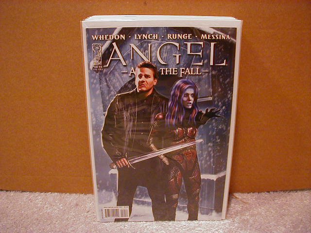 ANGEL AFTER THE FALL #10 CVR âAâ (2008)