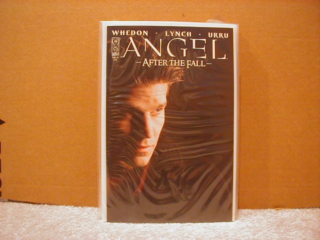 ANGEL AFTER THE FALL #1 NM 2ND PRINT PHOTO COVER