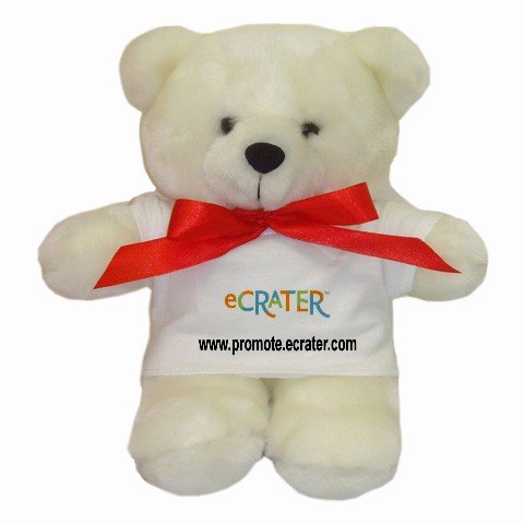 Custom Teddy Bear Customize Promotional Item Personalize It