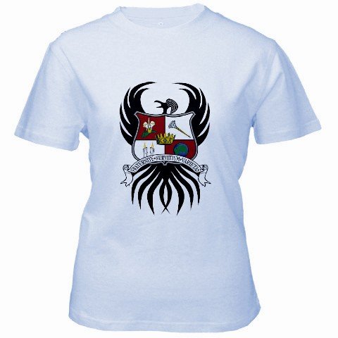 Custom Baby Blue Women's T-Shirt Ex-Large XL Customized Promotional Personalize It Logo Item