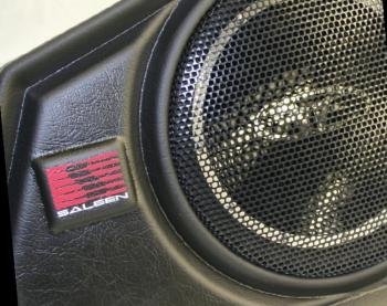 SALEEN ROCKFORD FOSGATE '05-'08 FORD MUSTANG SUBWOOFER FREE SHIPPING!