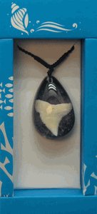 Necklace- Shark Tooth in Lucite