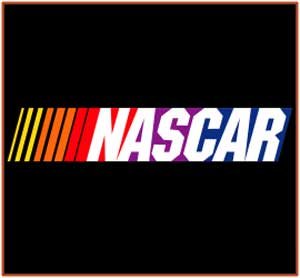 Free Shipping: NASCAR Logo Enamel Italian 9mm Charm