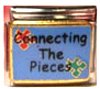 Free Shipping: Autism Connecting The Pieces Puzzle Enamel Italian 9mm Charm