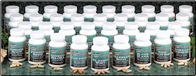 Juniper Berry 493 mg (#664R)