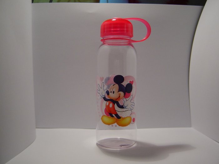 Mickey & Minnie Water Bottle
