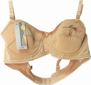 rose embroidery padded underwire bra