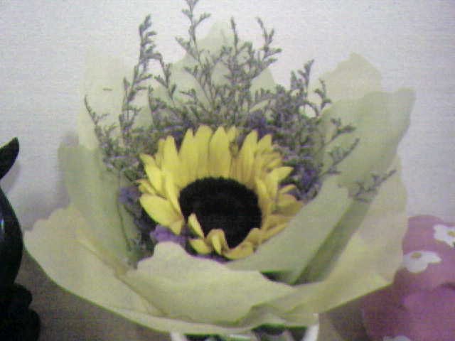 You are my sunshine~