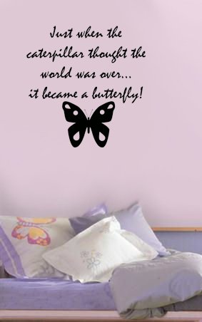 Butterfly's Change Wall Art Vinyl Decal