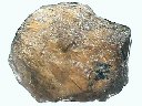 Iolite