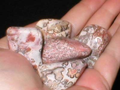 Leopard Skin Jasper