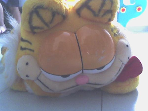 Big Garfield Used
