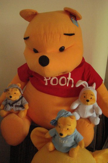 Brand New Big Cloth Pooh Bear