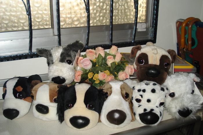 BIg Head dog complete set