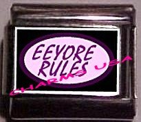 Eeyore Rules Custom Italian Charm 9mm