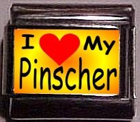 I Love (heart ) My Pinscher, Custom Italian Charm 9mm