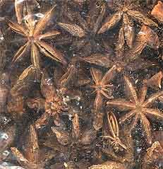 Anise Star Pods