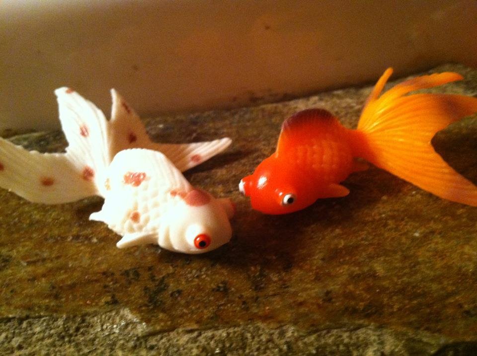 mythic goldfish toy