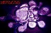 Defunct Asylum EP