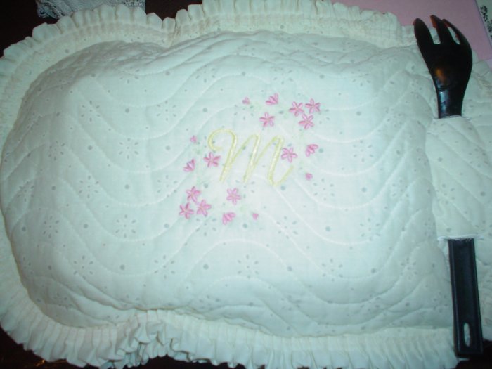 Casserole Covers/Carriers
