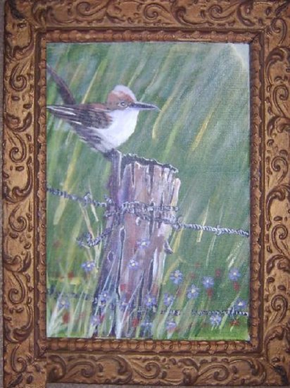 Resting Wren