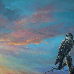 Evening lookout