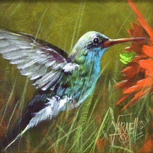 Mini flying humming bird