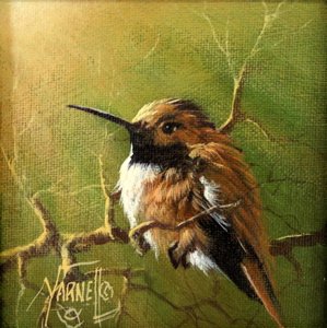 Mini hummingbird