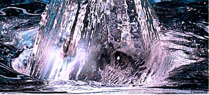 Water World