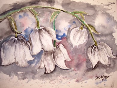 Lily of the Valley
