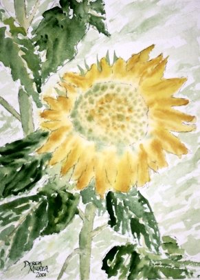 Lone Sunflower