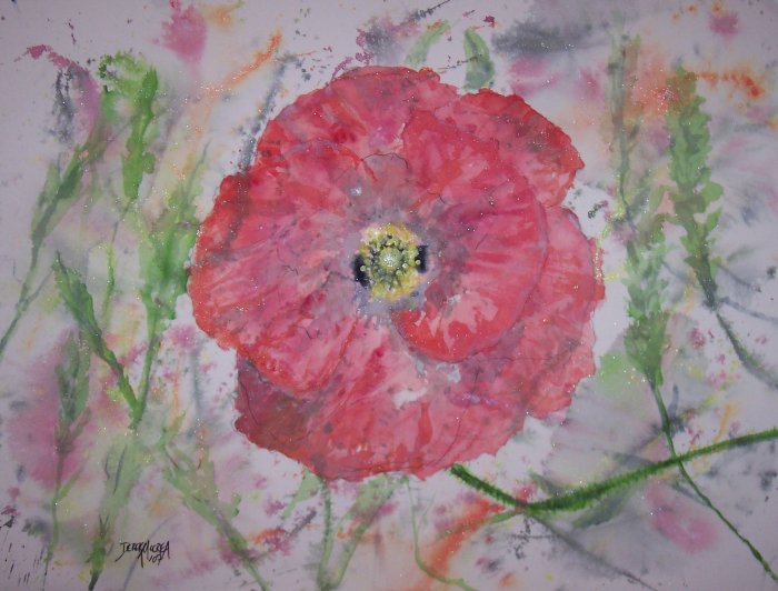 Poppy Burst limited edition print