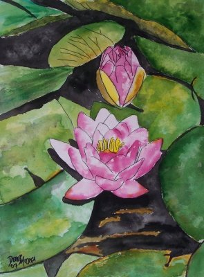 Water lily flower painting print
