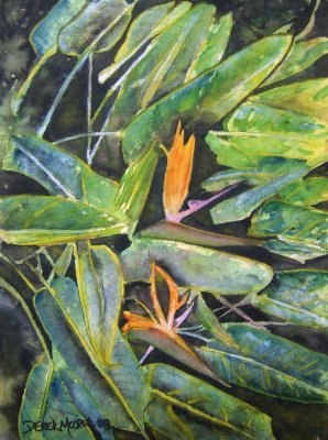 Bird of paradise 2