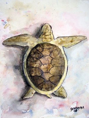 Sea Turtle