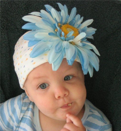 Bebe Blue Blossom