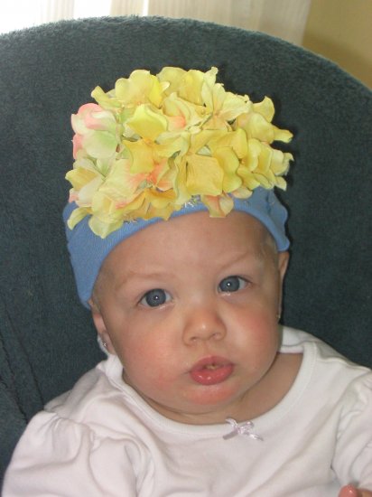Bebe Yellow Hydrangea Blossom