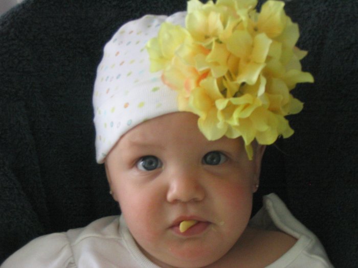 Bebe Blossom - Stunning Yellow