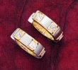 CZ and Gold Plated Earrings ( 0256J-S-E636 )
