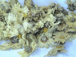 Chrysanthemum Tea