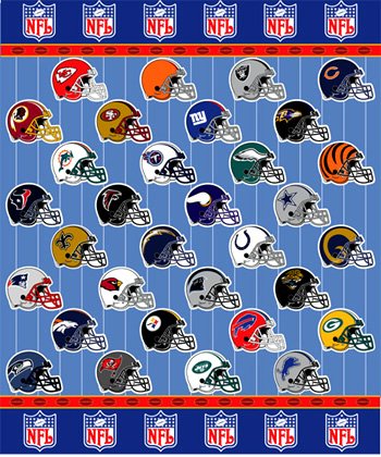 NFL MICRO SUPER PLUSH RASCHEL THROW-BLANKET