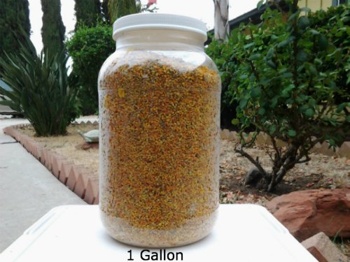 1 Gallon 100% PURE NATURAL BEE POLLEN GRANULES