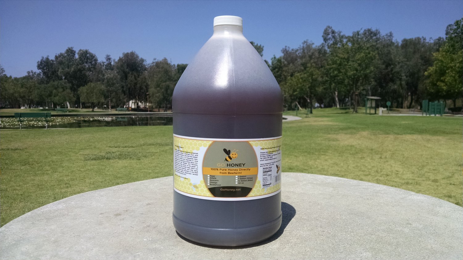 12 lbs (1 Gallon) 100% Pure Buckwheat Honey